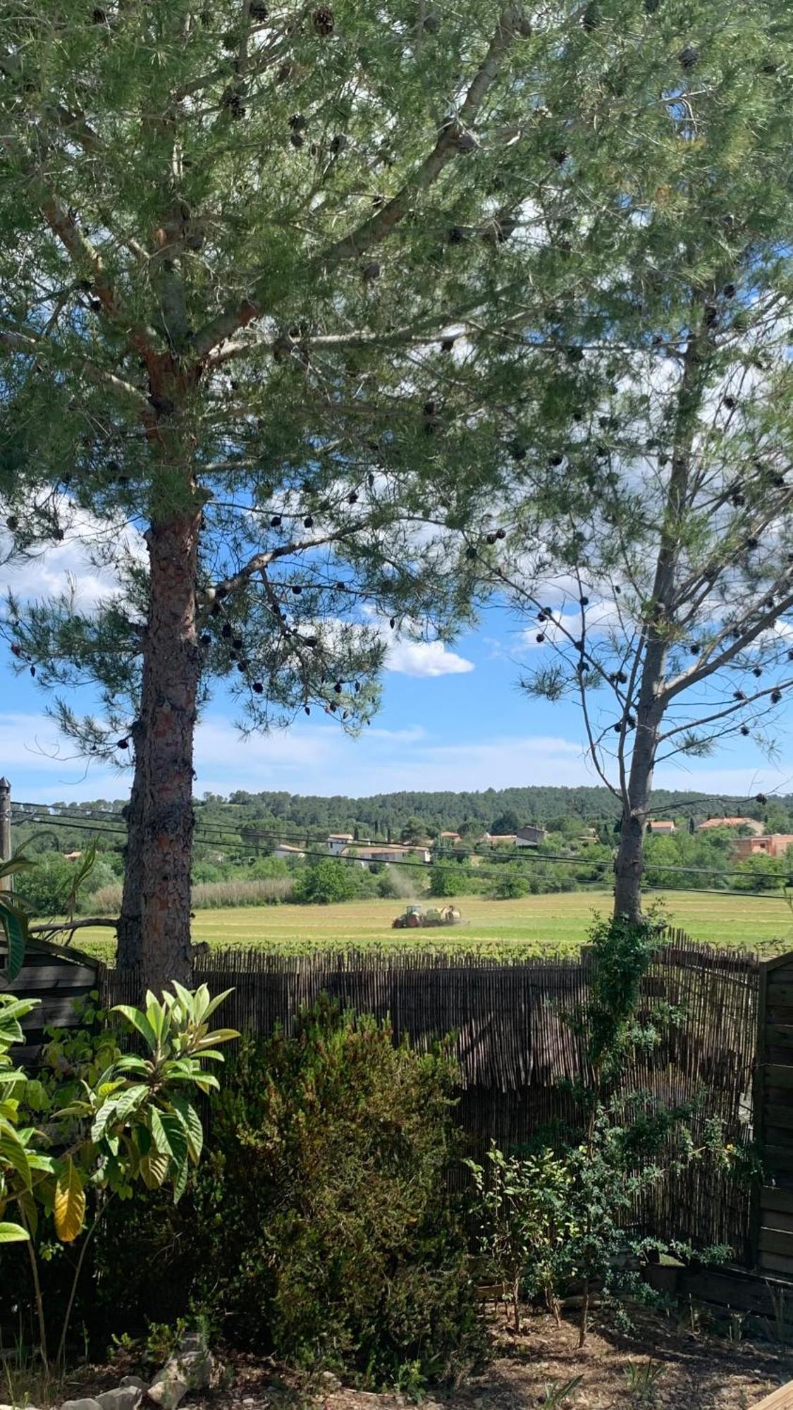 Villa En Bordure De Colline*Piscine*Clim*Netflix Les Matelles Eksteriør bilde